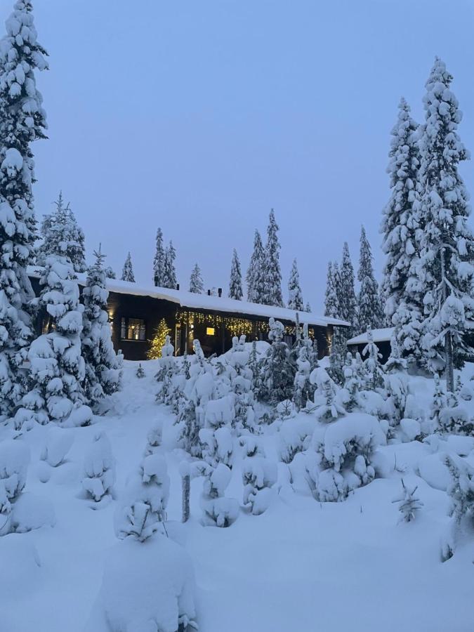 Chale Naava Villa Rukatunturi ภายนอก รูปภาพ